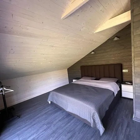 Pro100 House Volosyanka (Lviv)