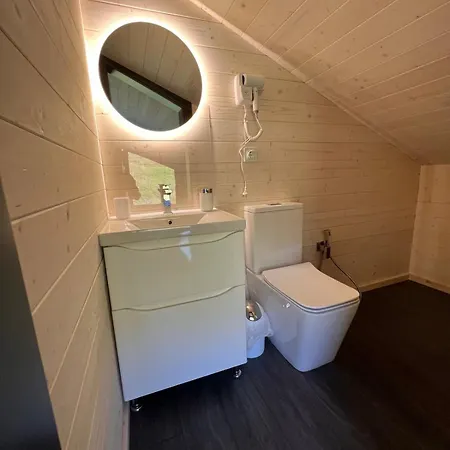 Pro100 House * Volosyanka (Lviv)